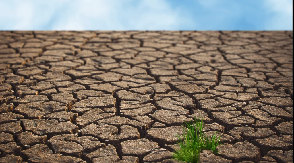 Dry cracked earth with a blue sky