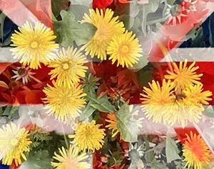Flower and a Union Jack. 