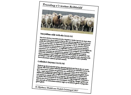 Welsh Biblical text overview